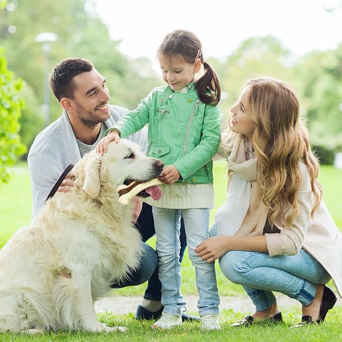 Sosation 6 Pcs Dog Toys for Aggressive Chewers Christmas Nylon Beef Flavor Bones Tough Puppy Teething Toys Puppy Chew Bones for Large Medium Small Breed Dogs Puppies(Small Medium Large)