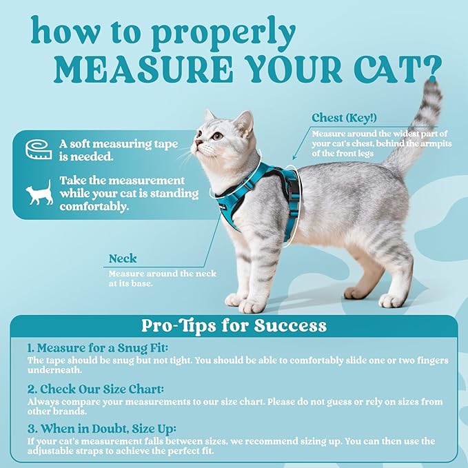 rabbitgoo Cat Harness and Leash for Walking, Escape Proof Soft Adjustable Vest Harnesses for Cats, Easy Control Breathable Reflective Strips Jacket, Teal, XS