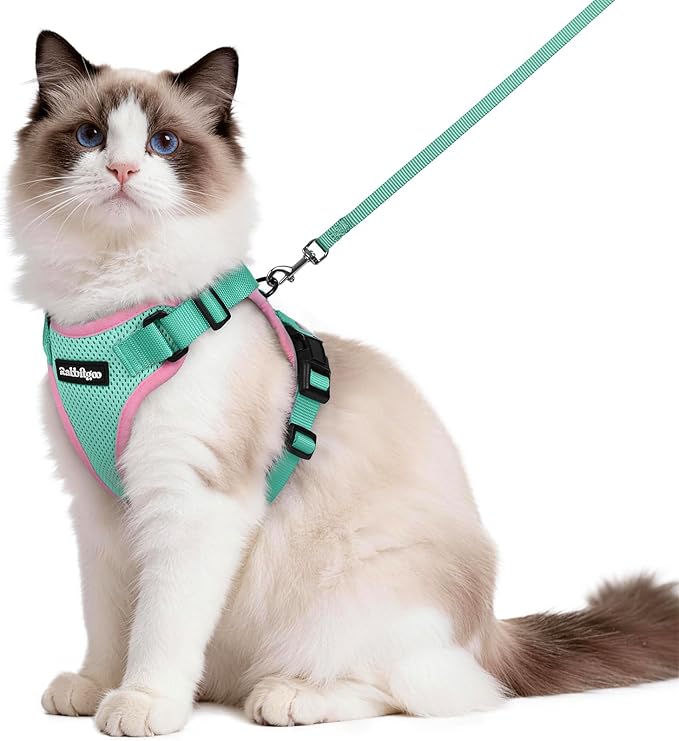 rabbitgoo Cat Harness and Leash for Walking, Escape Proof Soft Adjustable Vest Harnesses for Cats, Easy Control Breathable Reflective Strips Jacket, Green&Pink, M