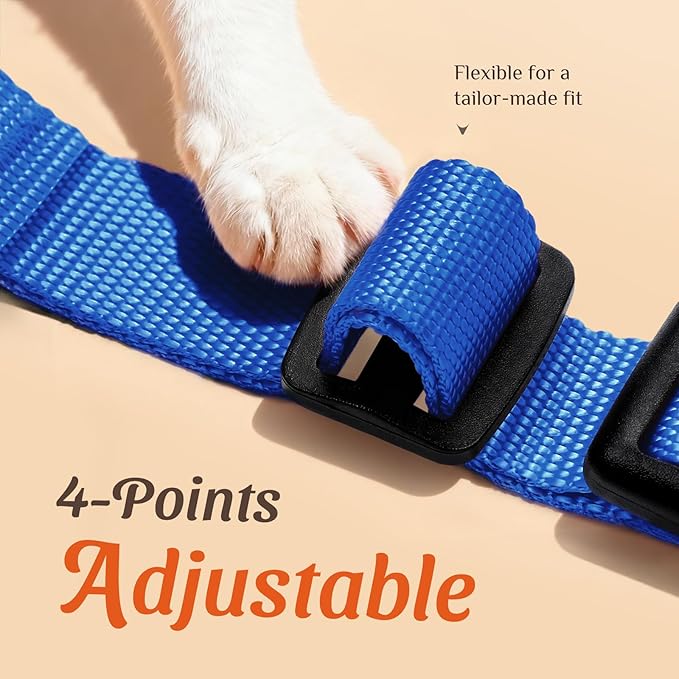 Dooradar Cat Harness and Leash Set, Escape Proof Safe Adjustable Kitten Vest Harnesses for Walking, Easy Control Soft Breathable Mesh Jacket with Reflective Strips for Cats, Blue, XS