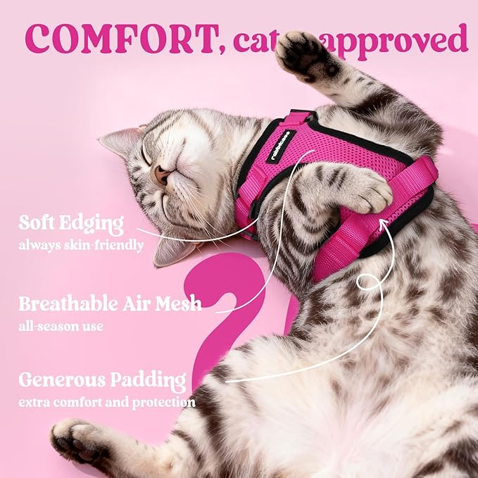 rabbitgoo Cat Harness and Leash for Walking, Escape Proof Soft Adjustable Vest Harnesses for Cats, Easy Control Breathable Reflective Strips Jacket, Rose Red, M