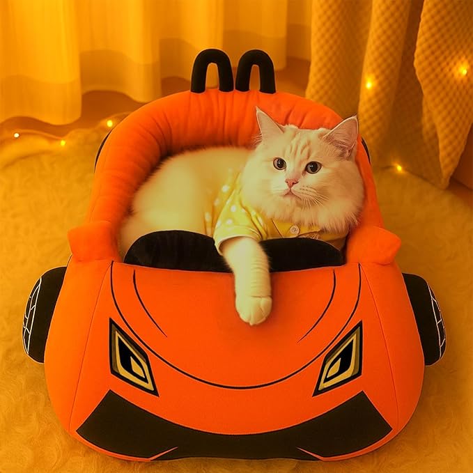 40 Pcs Interactive Cat Toys with Cute Cat Bed, Funny Supercar Kitten Toys for Indoor Kittens, Soft Kitten Beds with Catnip Toys, Chew Rope, Feather Wand, Springs and Balls