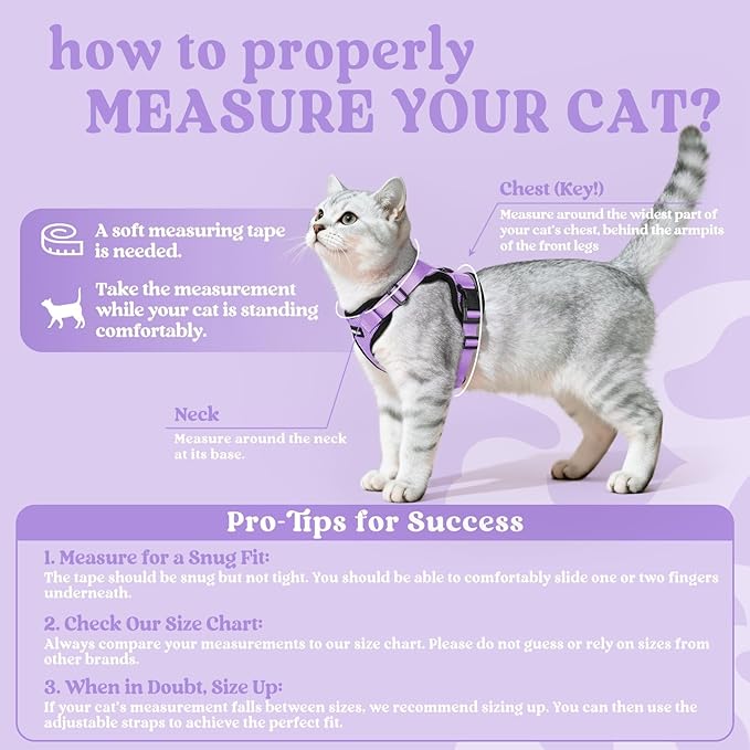 rabbitgoo Cat Harness and Leash for Walking, Escape Proof Soft Adjustable Vest Harnesses for Cats, Easy Control Breathable Reflective Strips Jacket, Light Purple, XXS