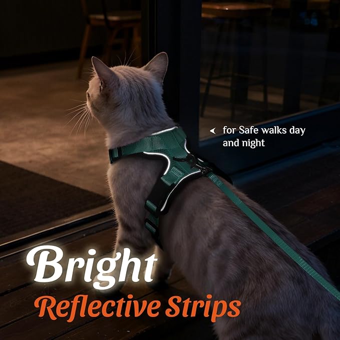 Dooradar Cat Harness and Leash Set, Escape Proof Safe Adjustable Kitten Vest Harnesses for Walking, Easy Control Soft Breathable Mesh Jacket with Reflective Strips for Cats, Green, M