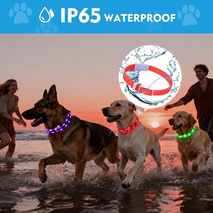 Lighted Dog Collar, Rechargeable Light Up Pet Collar, Waterproof LED Dog Collar Glow in The Dark, Make Pet Visible and Safety for Night Walking for Small Medium Large Dogs (Purple)