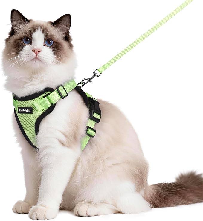 rabbitgoo Cat Harness and Leash for Walking, Escape Proof Soft Adjustable Vest Harnesses for Cats, Easy Control Breathable Reflective Strips Jacket, Light Green, M