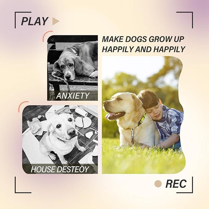 ptlsy Automatic Dog Ball Launcher Interactive Puppy Pet Ball Indoor Thrower Machine for Small and Medium Size Dogs, 3 Balls Included (2 inch) (Purple, Remote)