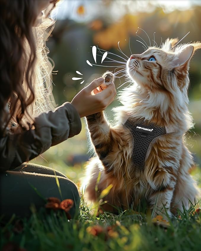 FAYOGOO Cat Harness and Leash Set | Upgrade Step-in Escape Proof Harness | Lightweight Soft Vest, No-Choke Design for Walking, Travel, Camping (Black)