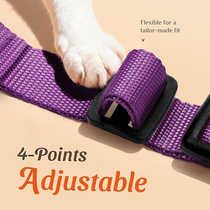 Dooradar Cat Harness and Leash Set, Escape Proof Safe Adjustable Kitten Vest Harnesses for Walking, Easy Control Soft Breathable Mesh Jacket with Reflective Strips for Cats, Purple, XS