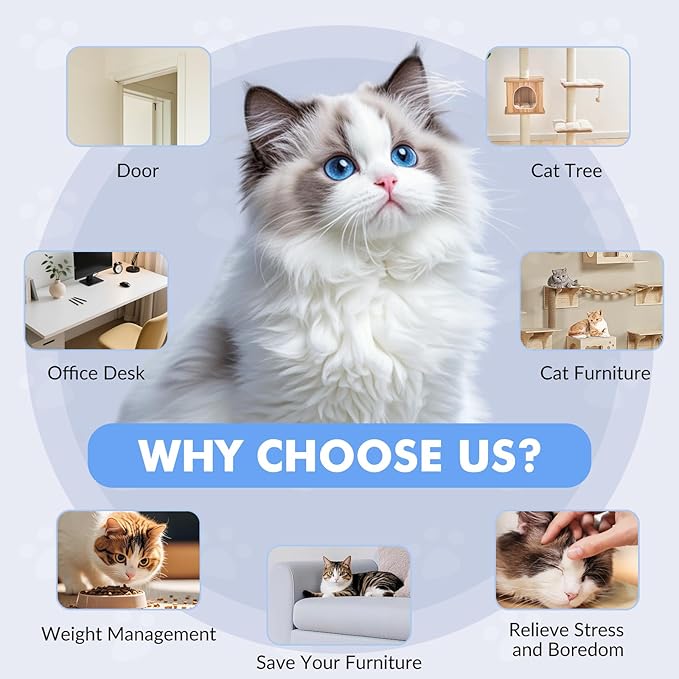 Interactive Cat Toys for Indoor Cats, Automatic Electric Flying Bird Feather Wand Toy, Best Kitten & Adult Cat Enrichment Toy Hanging Electric Kitty Toys for Bored Cats, Light Blue