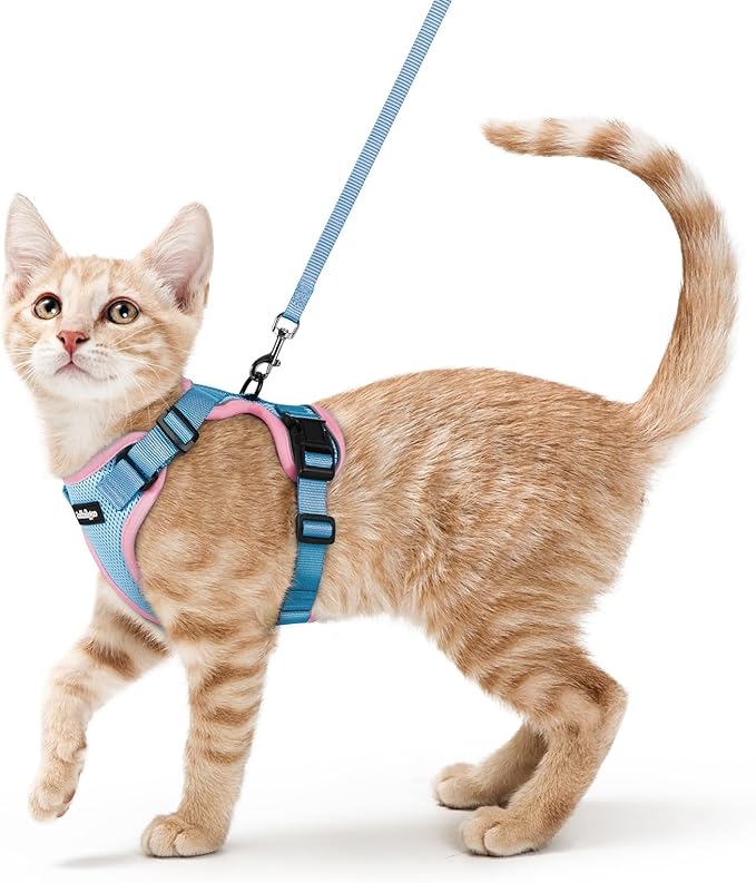 rabbitgoo Cat Harness and Leash for Walking, Escape Proof Soft Adjustable Vest Harnesses for Cats, Easy Control Breathable Reflective Strips Jacket, Light Blue&Pink, S