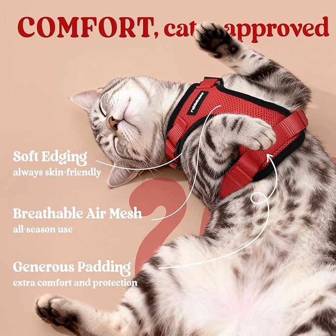 rabbitgoo Cat Harness and Leash for Walking, Escape Proof Soft Adjustable Vest Harnesses for Cats, Easy Control Breathable Reflective Strips Jacket, Red, M