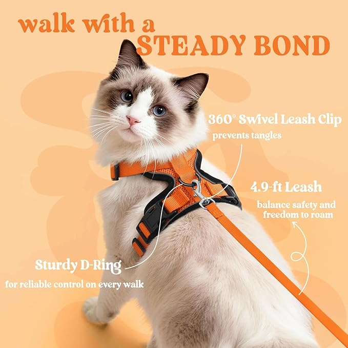 rabbitgoo Cat Harness and Leash for Walking, Escape Proof Soft Adjustable Vest Harnesses for Cats, Easy Control Breathable Reflective Strips Jacket, Orange, M