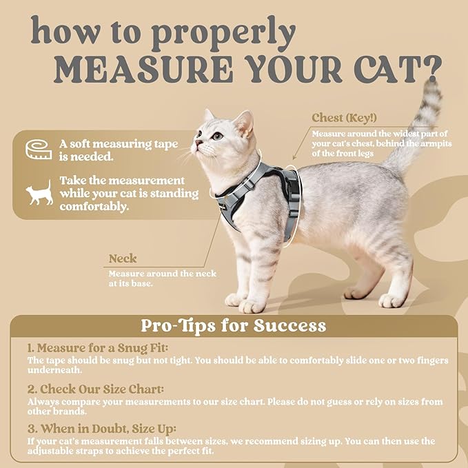 rabbitgoo Cat Harness and Leash for Walking, Escape Proof Soft Adjustable Vest Harnesses for Cats, Easy Control Breathable Reflective Strips Jacket, Grey, XS