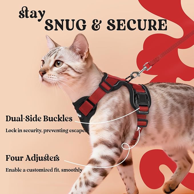 rabbitgoo Cat Harness and Leash for Walking, Escape Proof Soft Adjustable Vest Harnesses for Cats, Easy Control Breathable Reflective Strips Jacket, Black & Red, XXS