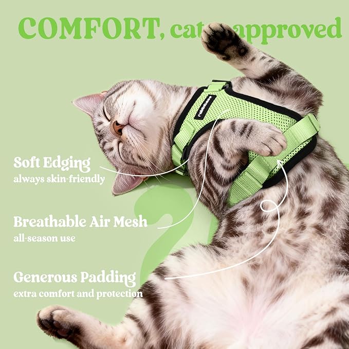 rabbitgoo Cat Harness and Leash for Walking, Escape Proof Soft Adjustable Vest Harnesses for Cats, Easy Control Breathable Reflective Strips Jacket, Light Green, XXS