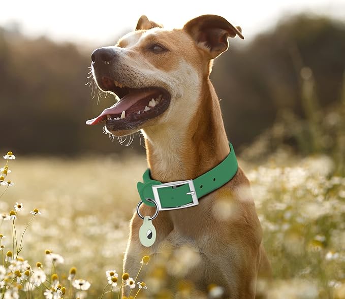 Wisedog Waterproof Dog Collar, Adjustable Soft Rubber Coated Webbing, Odor-Proof and Easy to Clean for Small Medium Large Dogs, with Airtags Case(L|15"-19" × 1 in, Pine Green)