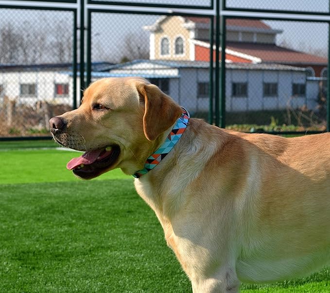 Dog Collar with Bohemia Floral Tribal Geometric Patterns - Soft Ethnic Style Collar Adjustable for Small Medium Large Dogs（Geometry,S）