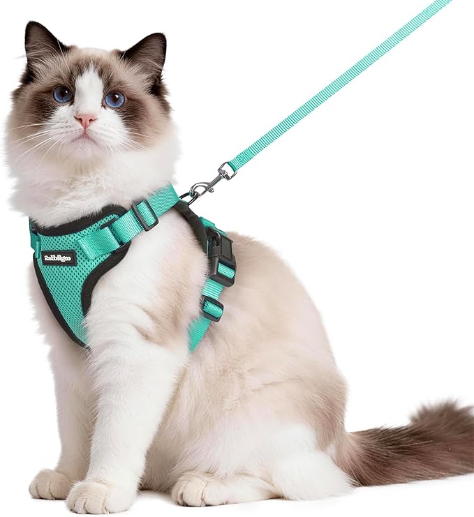 rabbitgoo Cat Harness and Leash for Walking, Escape Proof Soft Adjustable Vest Harnesses for Cats, Easy Control Breathable Reflective Strips Jacket, Emerald, M