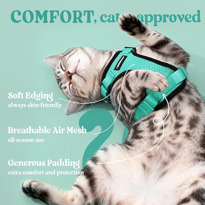 rabbitgoo Cat Harness and Leash for Walking, Escape Proof Soft Adjustable Vest Harnesses for Cats, Easy Control Breathable Reflective Strips Jacket, Emerald, XXS