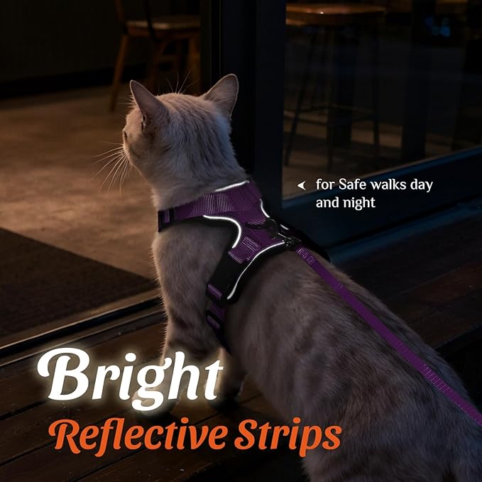 Dooradar Cat Harness and Leash Set, Escape Proof Safe Adjustable Kitten Vest Harnesses for Walking, Easy Control Soft Breathable Mesh Jacket with Reflective Strips for Cats, Purple, M
