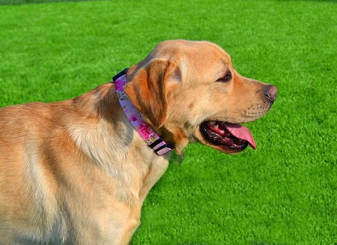 Dog Collar with Bohemia Floral Tribal Geometric Patterns - Soft Ethnic Style Collar Adjustable for Small Medium Large Dogs（ Pink Rose, M ）