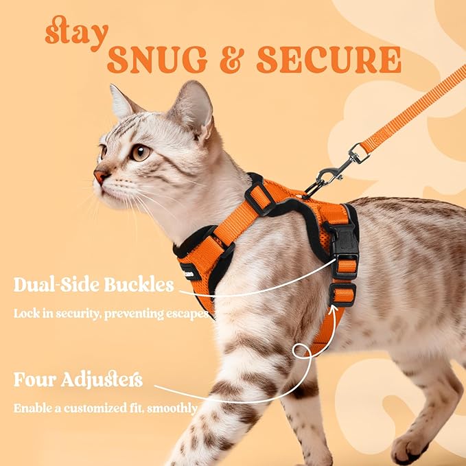 rabbitgoo Cat Harness and Leash for Walking, Escape Proof Soft Adjustable Vest Harnesses for Cats, Easy Control Breathable Reflective Strips Jacket, Orange, XXS