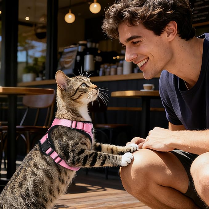 Dooradar Cat Harness and Leash Set, Escape Proof Safe Adjustable Kitten Vest Harnesses for Walking, Easy Control Soft Breathable Mesh Jacket with Reflective Strips for Cats, Pink, S