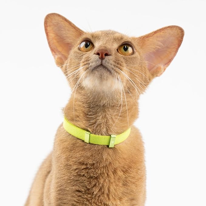 Safety Cat Collar - U.S. IDA Gold Awarding Design, Stretch Elastic Quick Release, Non Breakaway - Light Weight for Kitten, Neck Fit 5.9'-11.8' for All Small Large Cat,S(Blurple)
