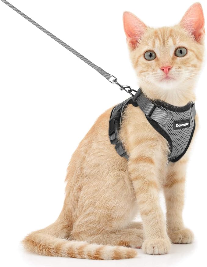 Dooradar Cat Harness and Leash Set, Escape Proof Safe Adjustable Kitten Vest Harnesses for Walking, Easy Control Soft Breathable Mesh Jacket with Reflective Strips for Cats, Grey, S