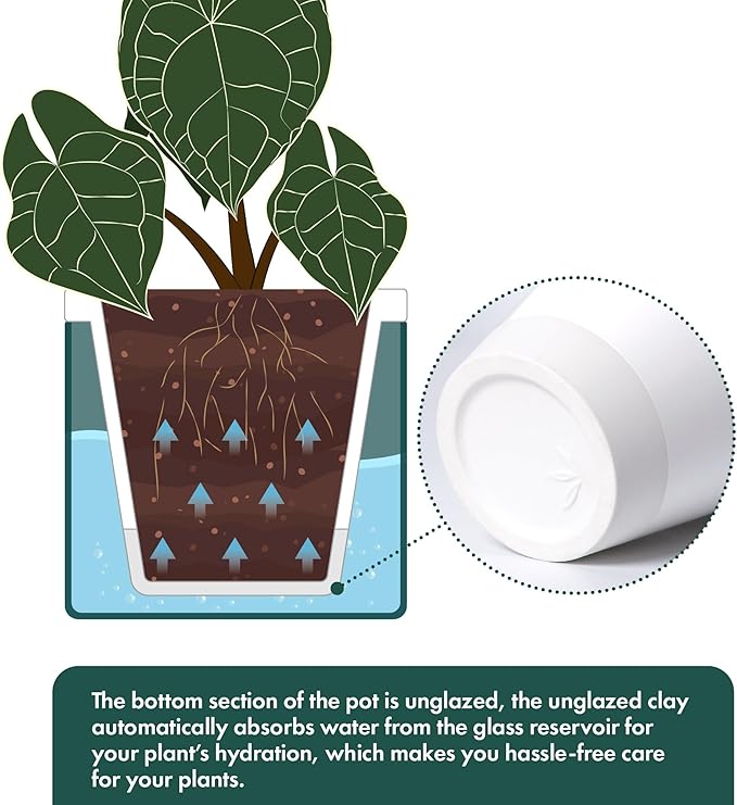 D'vine Dev 6 Inch Design Self Watering Planter for Indoor Plants, White Terracotta Pot with Teal Cylinder Glass Cup, Set of 2, 37-Y-B-5