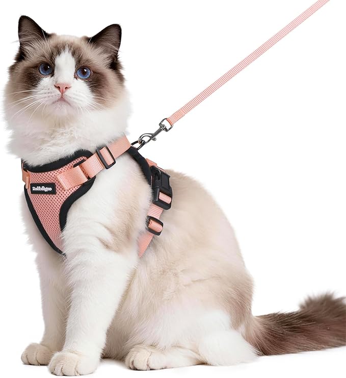 rabbitgoo Cat Harness and Leash for Walking, Escape Proof Soft Adjustable Vest Harnesses for Cats, Easy Control Breathable Reflective Strips Jacket, Light Salmon Pink, M