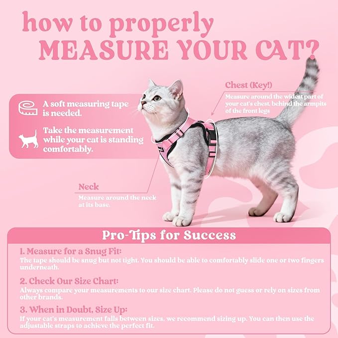 rabbitgoo Cat Harness and Leash for Walking, Escape Proof Soft Adjustable Vest Harnesses for Cats, Easy Control Breathable Reflective Strips Jacket, Pink, XXS