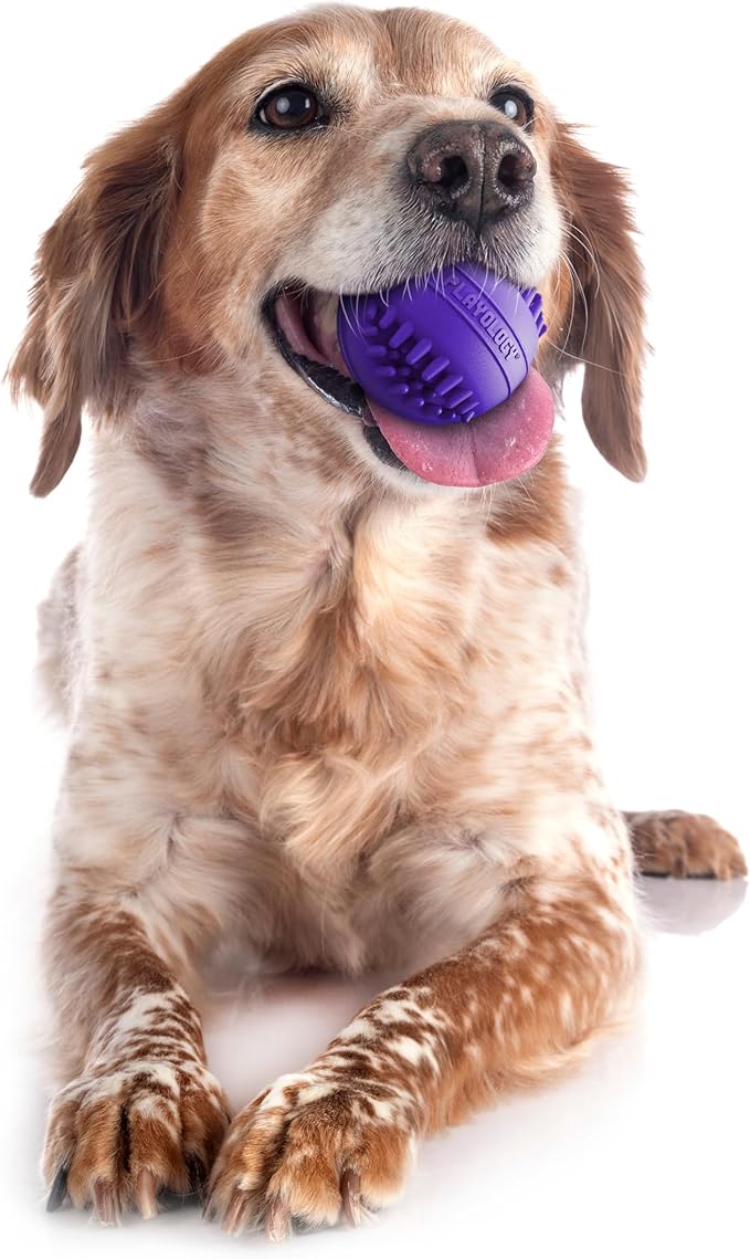 Playology Dog Toys | Dental Chew Ball Gentle on Gums | Medium Pork Sausage Scented Toy - Easy to Clean and Made from Non Toxic Materials