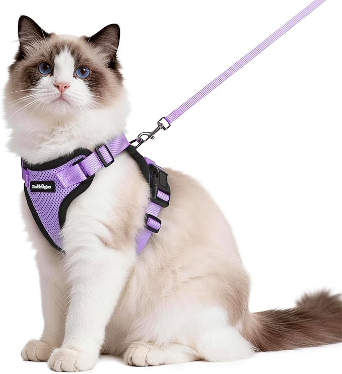 rabbitgoo Cat Harness and Leash for Walking, Escape Proof Soft Adjustable Vest Harnesses for Cats, Easy Control Breathable Reflective Strips Jacket, Light Purple, M