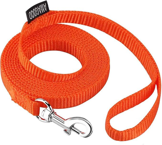 AMAGOOD 6 FT Cat Leashes, Strong Traditional Style Leash with Easy to Use Collar Hook,Cat Lead Great for Cats (3/8 in x 6 ft(Pack of 1), Orange)