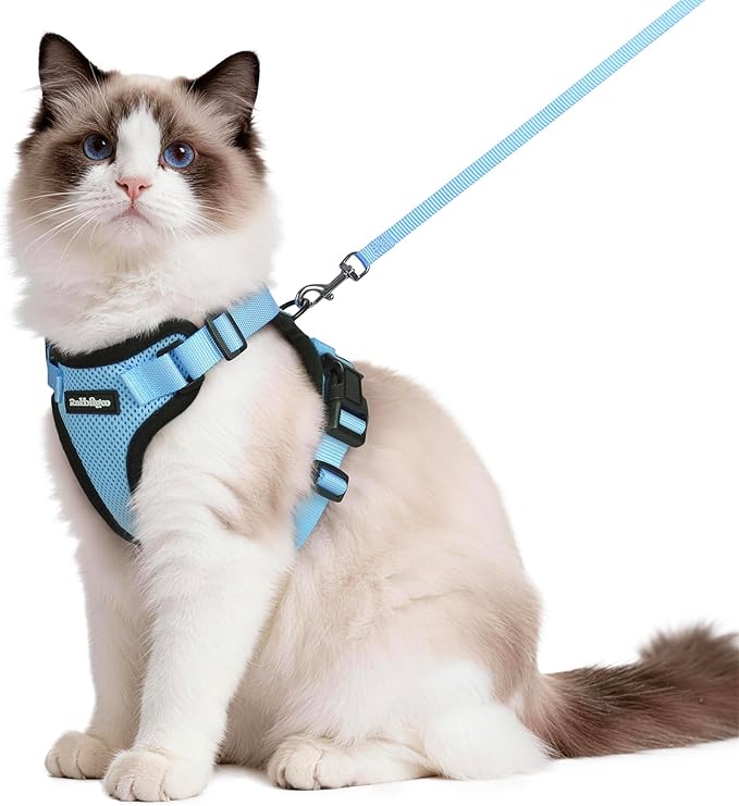 rabbitgoo Cat Harness and Leash for Walking, Escape Proof Soft Adjustable Vest Harnesses for Cats, Easy Control Breathable Reflective Strips Jacket, Light Blue,M