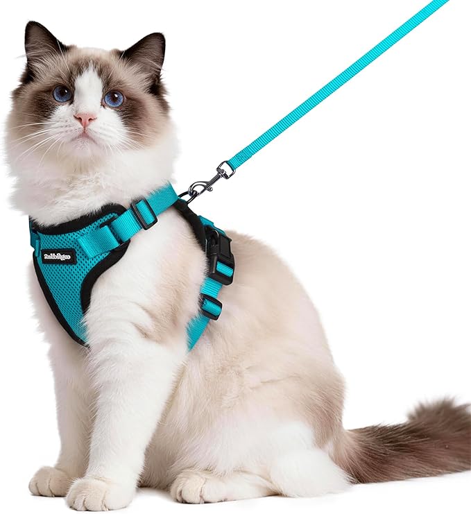 rabbitgoo Cat Harness and Leash for Walking, Escape Proof Soft Adjustable Vest Harnesses for Cats, Easy Control Breathable Reflective Strips Jacket, Teal, M