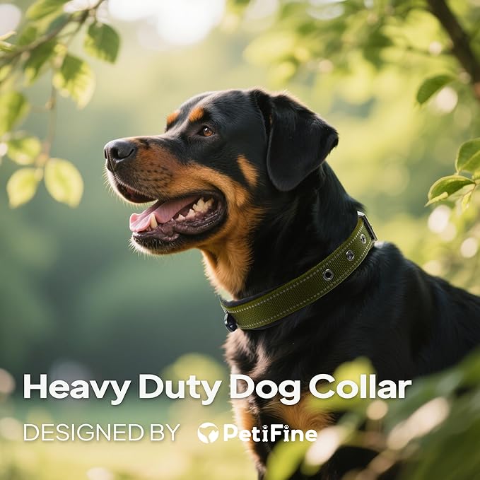 PetiFine Dog Collars for Medium Dogs, Neoprene Padded and Adjustable, Reflective Wide Heavy Duty Pet Collars with Durable Metal Belt Buckle for Walking, Green, M