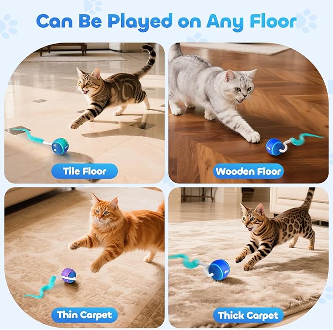 Automatic Interactive Cat Toy Ball for Indoor Cats, Carpet-Safe with Tangle-Free Tail, 3-Mode Touch Activated, Gen 3 High-Capacity 800mAh Battery (6-8H Play), Includes 2 Tails