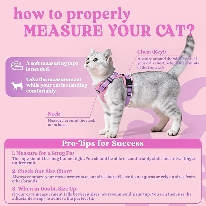 rabbitgoo Cat Harness and Leash for Walking, Escape Proof Soft Adjustable Vest Harnesses for Cats, Easy Control Breathable Reflective Strips Jacket, Pink & Purple, S