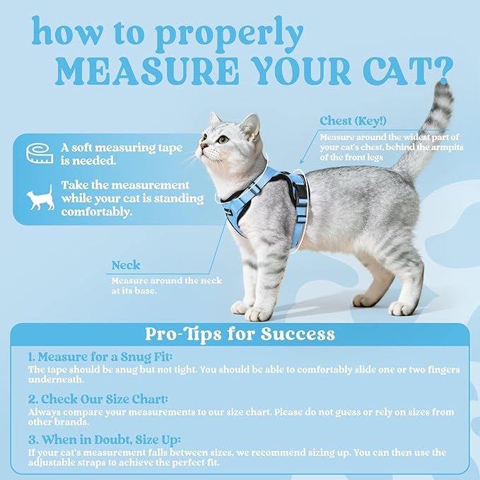 rabbitgoo Cat Harness and Leash for Walking, Escape Proof Soft Adjustable Vest Harnesses for Cats, Easy Control Breathable Reflective Strips Jacket, Light Blue, XS