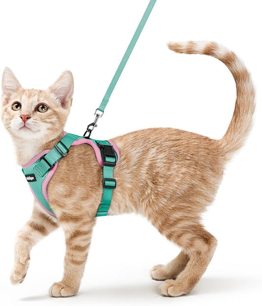 rabbitgoo Cat Harness and Leash for Walking, Escape Proof Soft Adjustable Vest Harnesses for Cats, Easy Control Breathable Reflective Strips Jacket, Green&Pink, XS