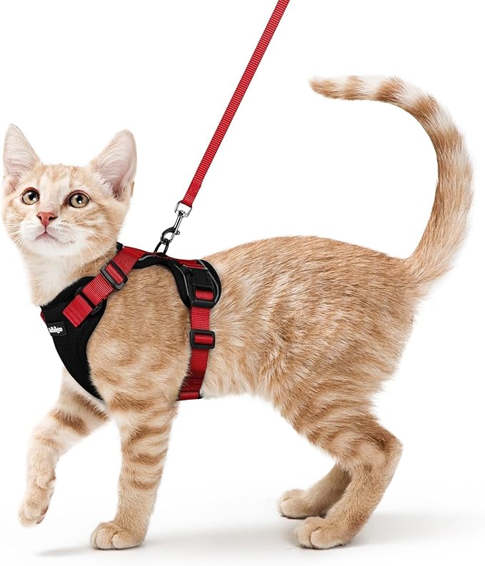 rabbitgoo Cat Harness and Leash for Walking, Escape Proof Soft Adjustable Vest Harnesses for Cats, Easy Control Breathable Reflective Strips Jacket, Black & Red, S