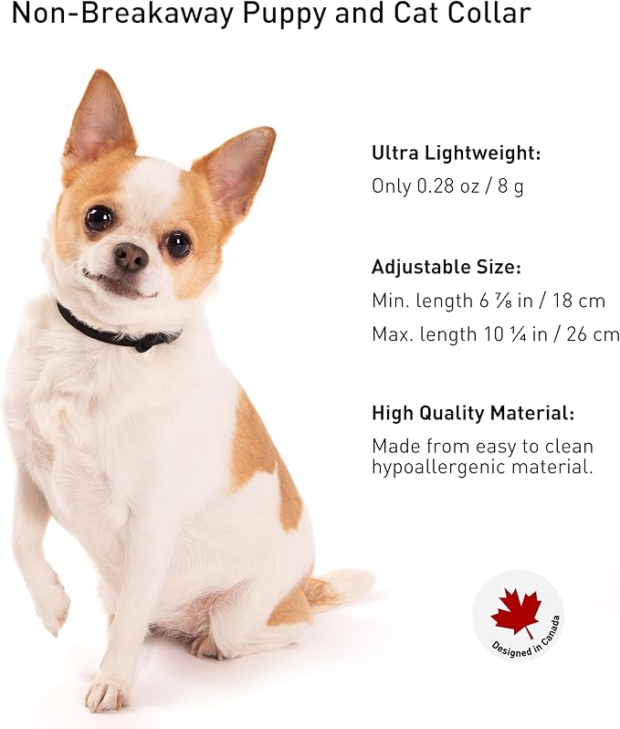 Dog Collar - Comfortable, Soft and Lightweight Adjustable Collar with Name Tag Ring for Miniature Dogs and Puppies - Non Breakaway Cat Collar by Nuvuq (Black, Mini)