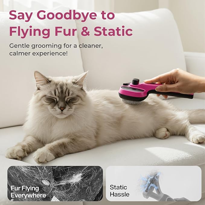 Pecute Cat Steam Brush, Self-Cleaning Steam Cat Brush with 2 Water Spray Modes, Large Capacity Tank, Steaming Renu Dog Brush for Shedding Massaging Grooming, Cool Mist Only