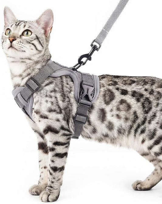 Cat Harness and Leash Set Escape Proof Tactical Extra Large Kitten Harness Emotional Support Cat Vest, Grey, XXL