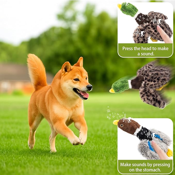 2-Pack Stuffing-Free Squeaky Dog Toys for Small & Medium Dogs – Hollow Body Plush Ducks with 6 Total Squeakers | Durable Pet Toys for Dogs | No Stuffing, for Pet Use Only