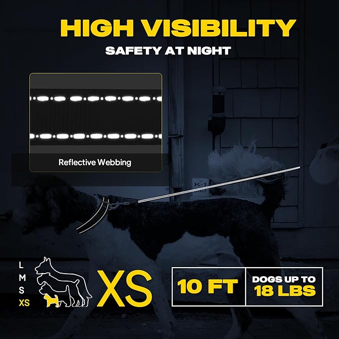 Fida Retractable Dog Leash X-Small Breed, 10 ft Durable Pet Walking Leash for Extra Small Dogs/Cats/Small Animals up to 18 lbs, 360° Tangle Free, Teel