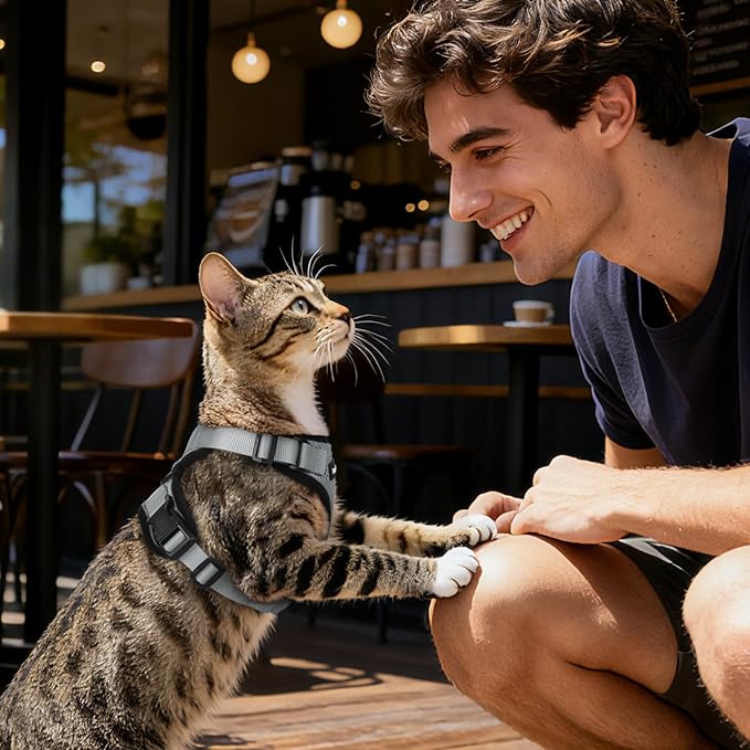 Dooradar Cat Harness and Leash Set, Escape Proof Safe Adjustable Kitten Vest Harnesses for Walking, Easy Control Soft Breathable Mesh Jacket with Reflective Strips for Cats, Grey, S